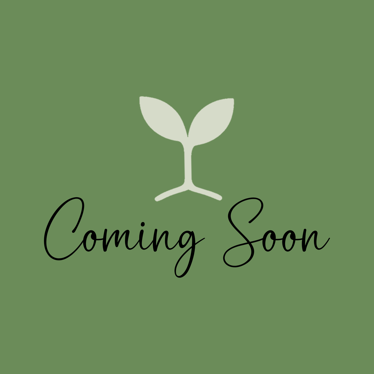 Environmental Wellness