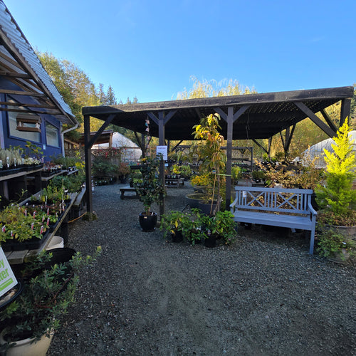 Mayne Island Building Centre (Home Hardware)