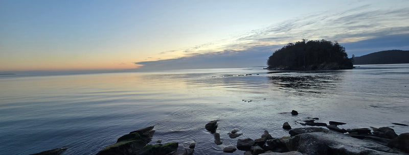 A scenic landscape photograph of a calm body of water at sunset or sunrise, with a dark tree-covered island on the right, rocky shoreline in the foreground, and a pale sky with soft warm and cool tones. Brick Dock on Mayne Island