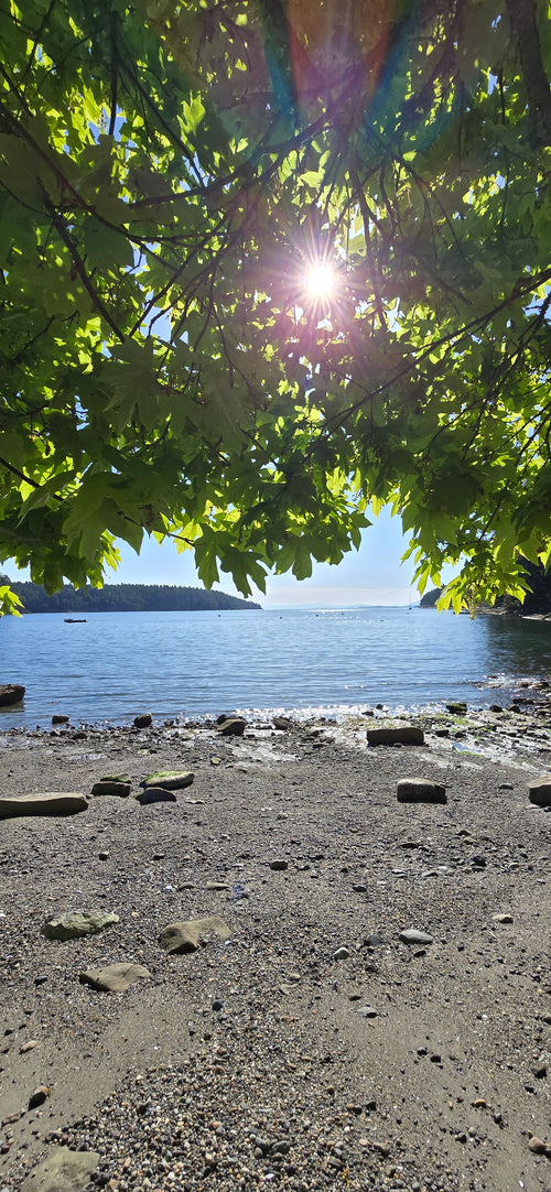 Campbell Bay Beach