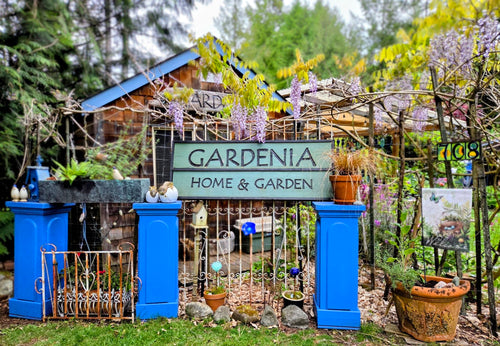 Gardenia | Home & Garden