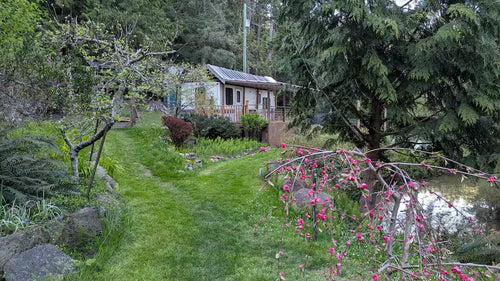 Lavendar Hills on Mayne Bed & Breakfast