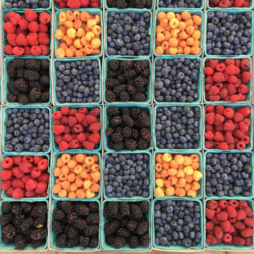 Mayne Island Farmer's Market