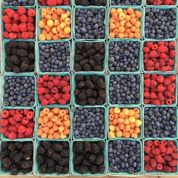 Mayne Island Farmer's Market